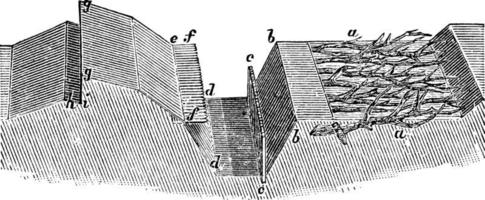 sezione di fortificato parete, Vintage ▾ illustrazione. vettore