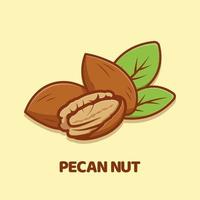 pecan Noce cartone animato vettore icona illustrazione isolato