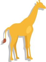 africano giraffa, illustrazione, vettore, su un' bianca sfondo. vettore