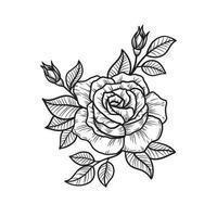 rosa fiore mano disegnato vettore