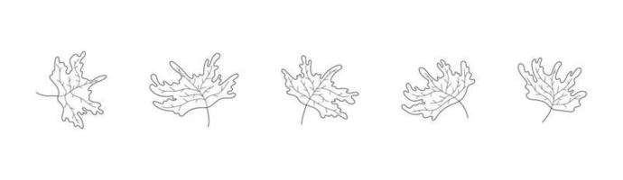 impostato di schema acero le foglie vettore illustrazione isolato su bianca sfondo
