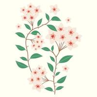 Hoya carnosa fiore illustrazione vettore