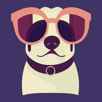 illustrazione vettore grafico di beagle indossare occhiali da sole isolato Perfetto per logo, mascotte, icona o Stampa su maglietta