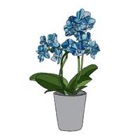 orchidea fiore vettore illustrazione con mano disegno stile