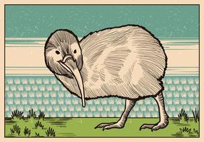 Illustrazione d'epoca di Kiwi Bird vettore