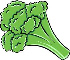 fresco broccoli, illustrazione, vettore su bianca sfondo