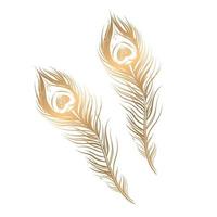 vettore disegno di d'oro pavone piume su un' bianca sfondo