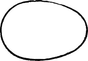 ovale ovoidale, Vintage ▾ illustrazione. vettore