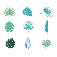 illustrazione vettoriale di foglia di palma