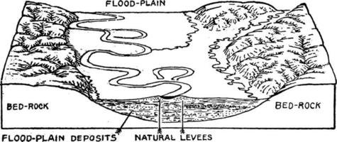 alluvione pianura, Vintage ▾ illustrazione. vettore