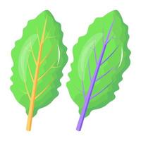 icona di spinaci le foglie piatto design vettore
