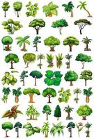 insieme di piante e alberi di varietà vettore