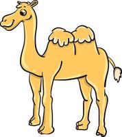 cammello con Due gobba , illustrazione, vettore su bianca sfondo