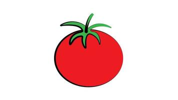 pomodoro su un' bianca sfondo, vettore illustrazione. rosso il giro pomodoro. verdure per insalata. naturale Prodotto a partire dal il giardino. azienda agricola cibo. succoso aromatico pomodoro