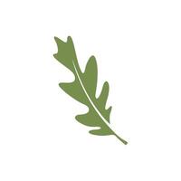un' pulito e semplice illustrazione di quercia le foglie vettore