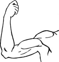 braccio con teso muscoli, Vintage ▾ illustrazione. vettore