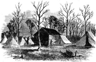 battaglia di shiloh, Vintage ▾ illustrazione. vettore
