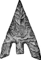 norvegese punta di freccia, Vintage ▾ illustrazione. vettore