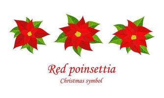 rosso Natale stella di Natale. impostato con poinsettia fiori. Natale simbolo. vettore illustrazione.