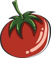 rosso pomodoro, illustrazione, vettore su bianca sfondo.