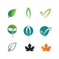 pianta semi logo concetto modello vettore.crescente seme logo.seme crescere vettore logo illustrazione design modello