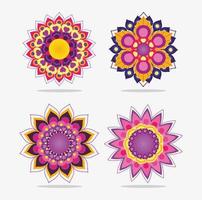 mandala fiori design set vettore