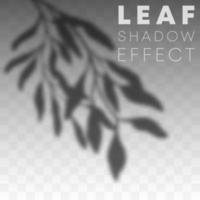 effetto di sovrapposizione dell'ombra delle foglie vettore