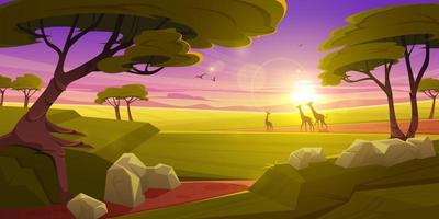 savana con giraffe sagome a tramonto