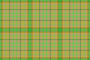 tartan senza soluzione di continuità struttura. tessile vettore sfondo. plaid dai un'occhiata tessuto modello.