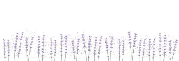 orizzontale floreale sfondo con lavanda fiori. acquerello vettore illustrazione.