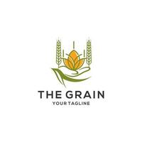 Grano grano agricoltura logo design vettore modello