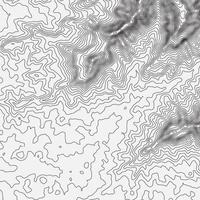 topografica carta geografica contorno sfondo. topo carta geografica con elevazione. contorno carta geografica vettore. geografico mondo topografia carta geografica griglia astratto vettore illustrazione .