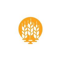 Grano grano agricoltura logo design vettore modello