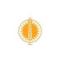 Grano grano agricoltura logo design vettore modello