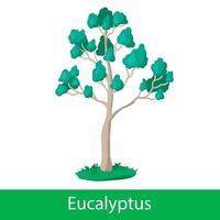 eucalipto cartone animato albero vettore