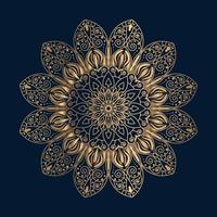 ornamenti mandala design vettore