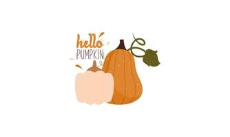 Ciao zucca stagione. autunno mano disegnato lettering vettore impostato con zucche, Castagna e le foglie. hal