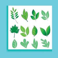 impostato di verde foglia icone. le foglie di alberi e impianti. le foglie icona. collezione verde foglia. elementi design per naturale, eco, bio, vegano etichette. vettore illustrazione.