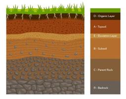 suolo strato infografica, terra geologia formazione vettore