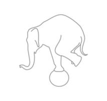 il elefante è equilibratura su il palla vettore