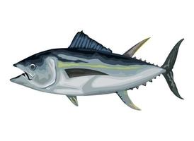 Barracuda marino vita animale vettore