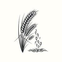 mano disegnato nero e bianca silhouette di Grano orecchie cereali orzo illustrazione nel Vintage ▾ e retrò stile su bianca sfondo vettore