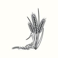 mano disegnato nero e bianca silhouette di Grano orecchie cereali orzo illustrazione nel Vintage ▾ e retrò stile su bianca sfondo vettore