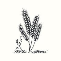 mano disegnato nero e bianca silhouette di Grano orecchie cereali orzo illustrazione nel Vintage ▾ e retrò stile su bianca sfondo vettore