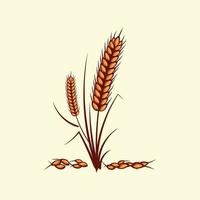 mano disegnato giallo d'oro colorato di Grano orecchie cereali orzo illustrazione nel Vintage ▾ e retrò stile su bianca sfondo vettore