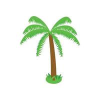 palma tropicale albero icona, isometrico 3d stile vettore