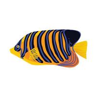 zebrasoma pesce icona, cartone animato stile vettore