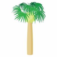 palma pianta albero icona, cartone animato stile vettore