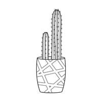 vettore schema cactus nel pentola. interno succulento pianta con spine. cactus per casa e interno. botanico scarabocchio lineare nero e bianca illustrazione isolato su bianca sfondo.