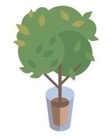 ecologia albero piantare vettore